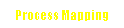 Text Box: Process Mapping
